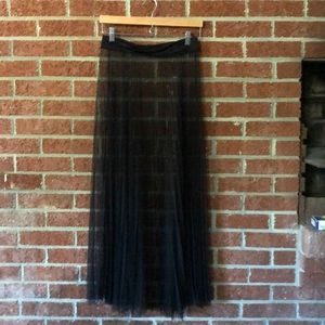 Long sheer pleated skirt